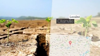 Villa de 4 chambres avec grand jardin à Ollainville