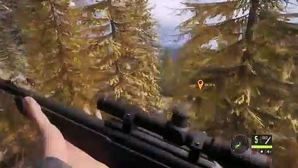 theHunter_ Call of the Wild Chapter 71! All Blackbear!
