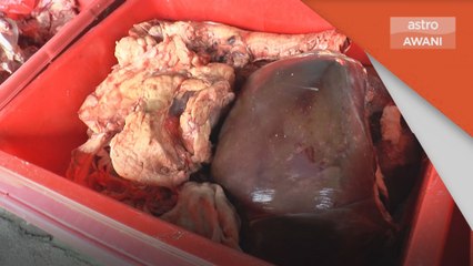 Isu Bekalan | Atasi ketidaktentuan harga dan pasaran lauk basah