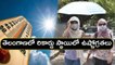 Telangana Heatwave Alert రికార్డు స్థాయిలో ఉష్ణోగ్రతలు వడదెబ్బల బారినపడే అవకాశం - IMD