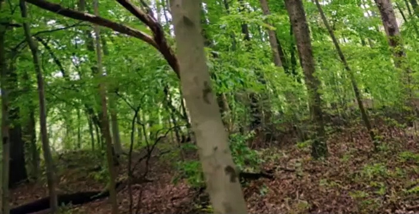 Jacqueline and Jilly S01 E06