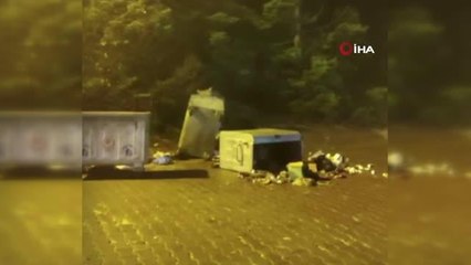 Uludağ'da ayı paniği... Çöp konteynerini karıştıran ayıyla böyle göz göze geldiler