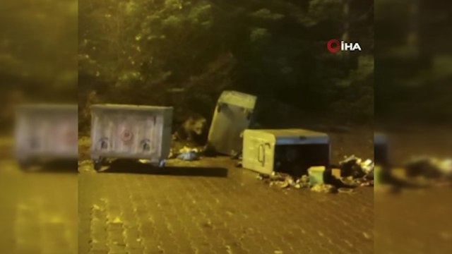 Ayı ile böyle göz göze geldiler...Uludağ'da ayı paniği kamerada