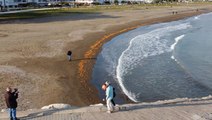 Rus turistler gördüklerine inanamadı: Denize dökülen portakallar dalgaların etkisiyle kumsalı kapladı
