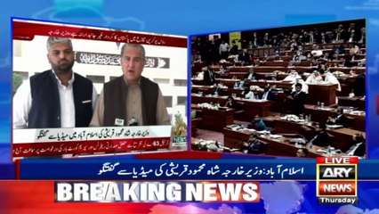 Respect for Pakistan's green passport has increased, says Shah Mehmood Qureshi