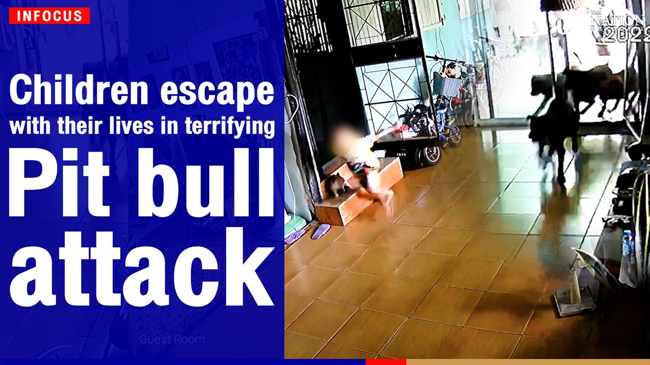 Children escape with their lives in terrifying pit bull attack | The Nation Thailand