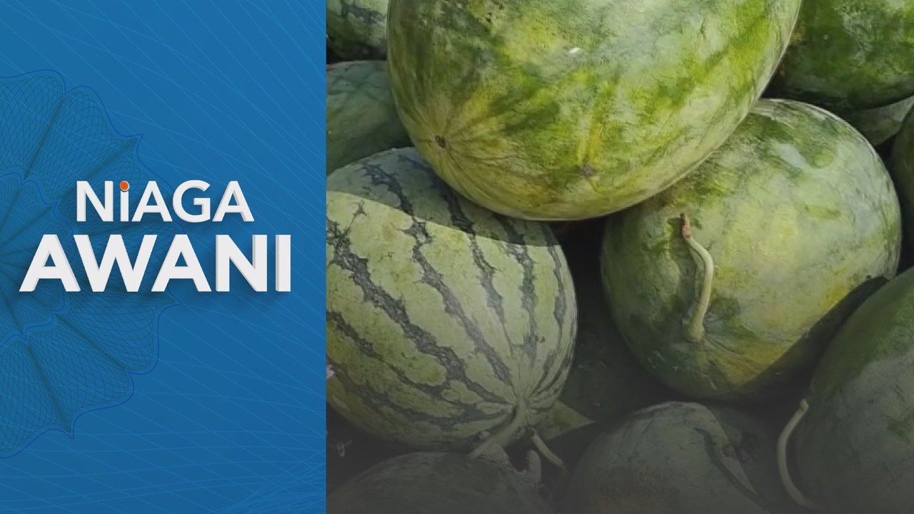 Niaga AWANI: Pekebun rugi lagi apabila tembikai tidak terjual