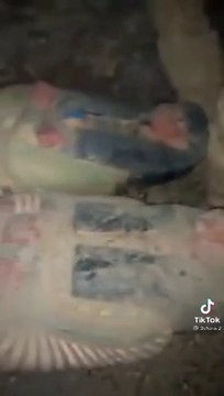 Les premiers pas dans une tombe égyptienne découverte