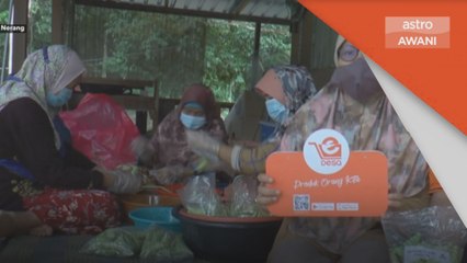 Jiwa SME | Aplikasi E-Desa platform kembangkan produk PKS