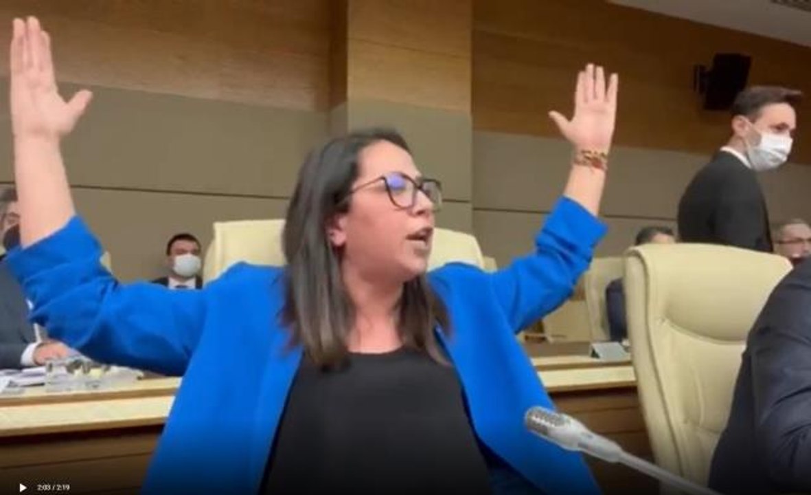 AK Partili İsmail Bilen, TİP'li Sera Kadıgil'e "Edepsiz" deyince Meclis'te ortalık karıştı