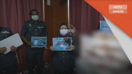 Rokok Seludup | Seludup rokok menerusi timbunan ikan segar