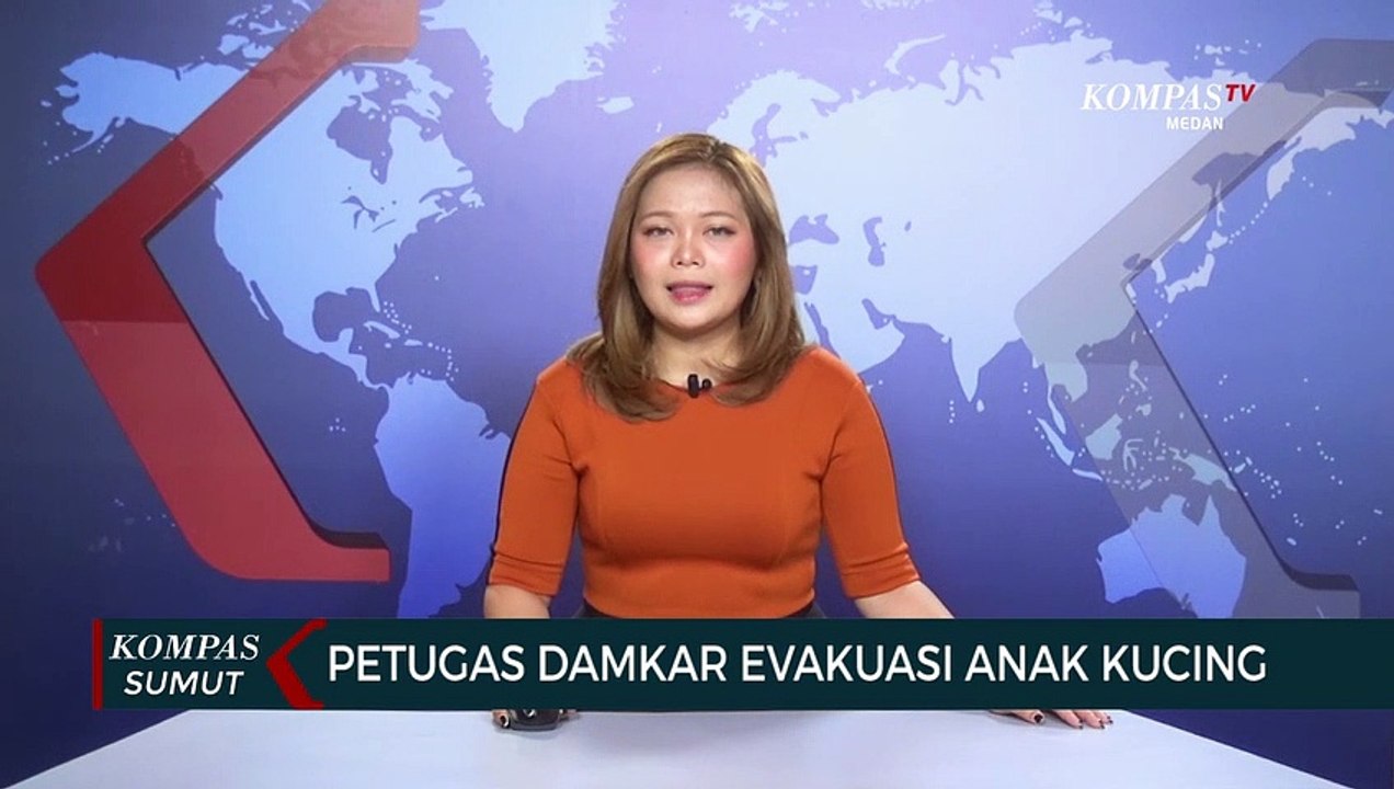 Petugas Pemadam Kebakaran di Medan Evakuasi Anak Kucing