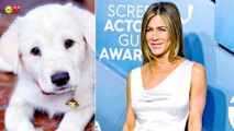 Jennifer Aniston Shares Adorable Snaps Of Her Dog On National Puppy Day