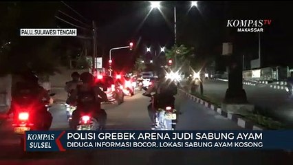 Polisi Gerebek Arena Judi Sabung Ayam