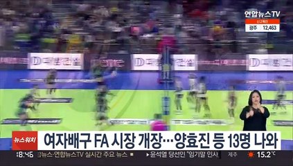 여자배구 FA 시장 개장…양효진 등 13명 나와