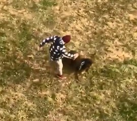 Köpeğe tekme atana 'Bana vur bana' diyerek tepki gösterdi