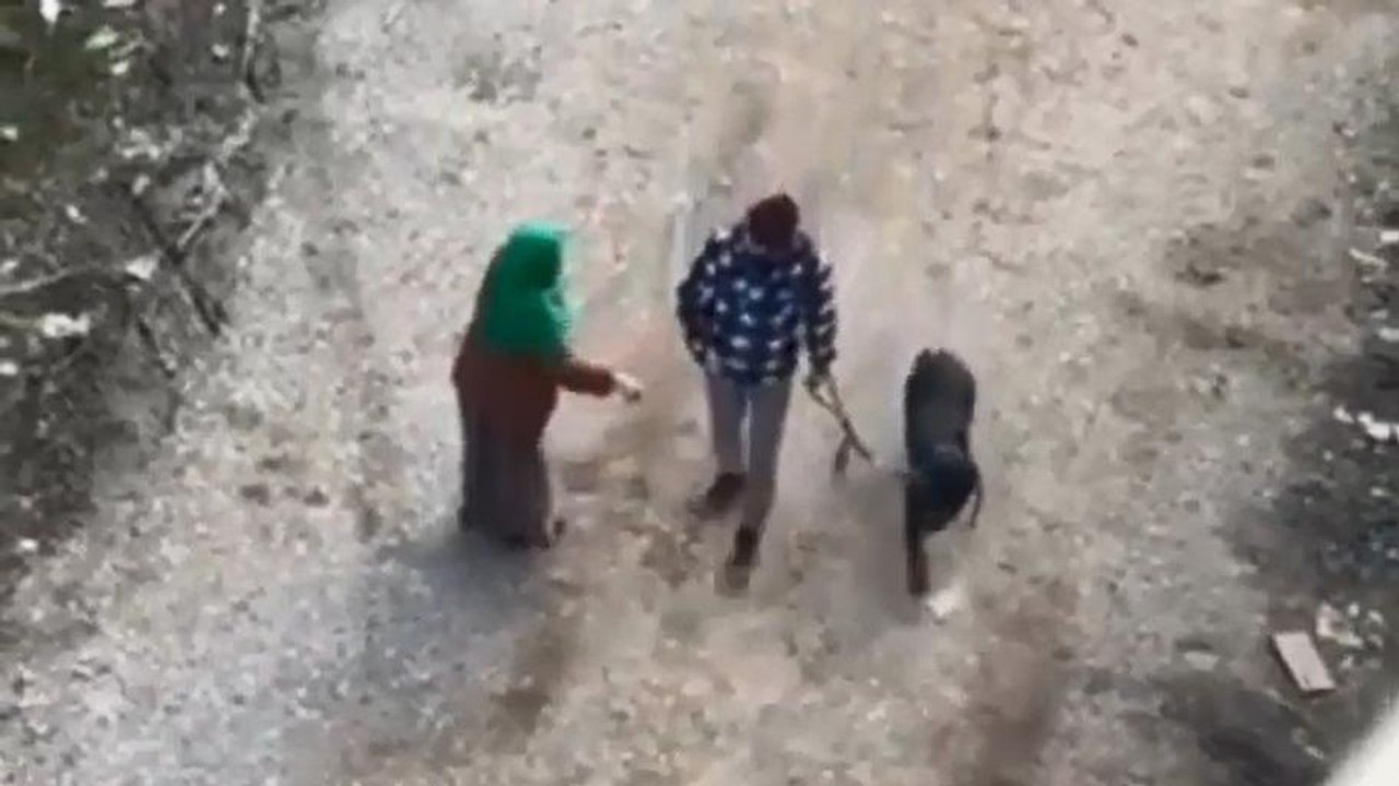 Köpeğe tekme atan kişinin üzerine, "bana vur bana" diyerek yürüdü