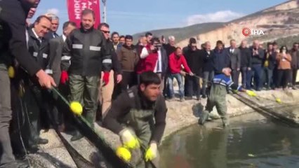 Balıkçılar ağı tarladan çekti...Tarım ve Orman Bakan Yardımcısı Özkaldı'nın katılımı ile 'Tarla Balıkçılığı hasat' töreni düzenlendi