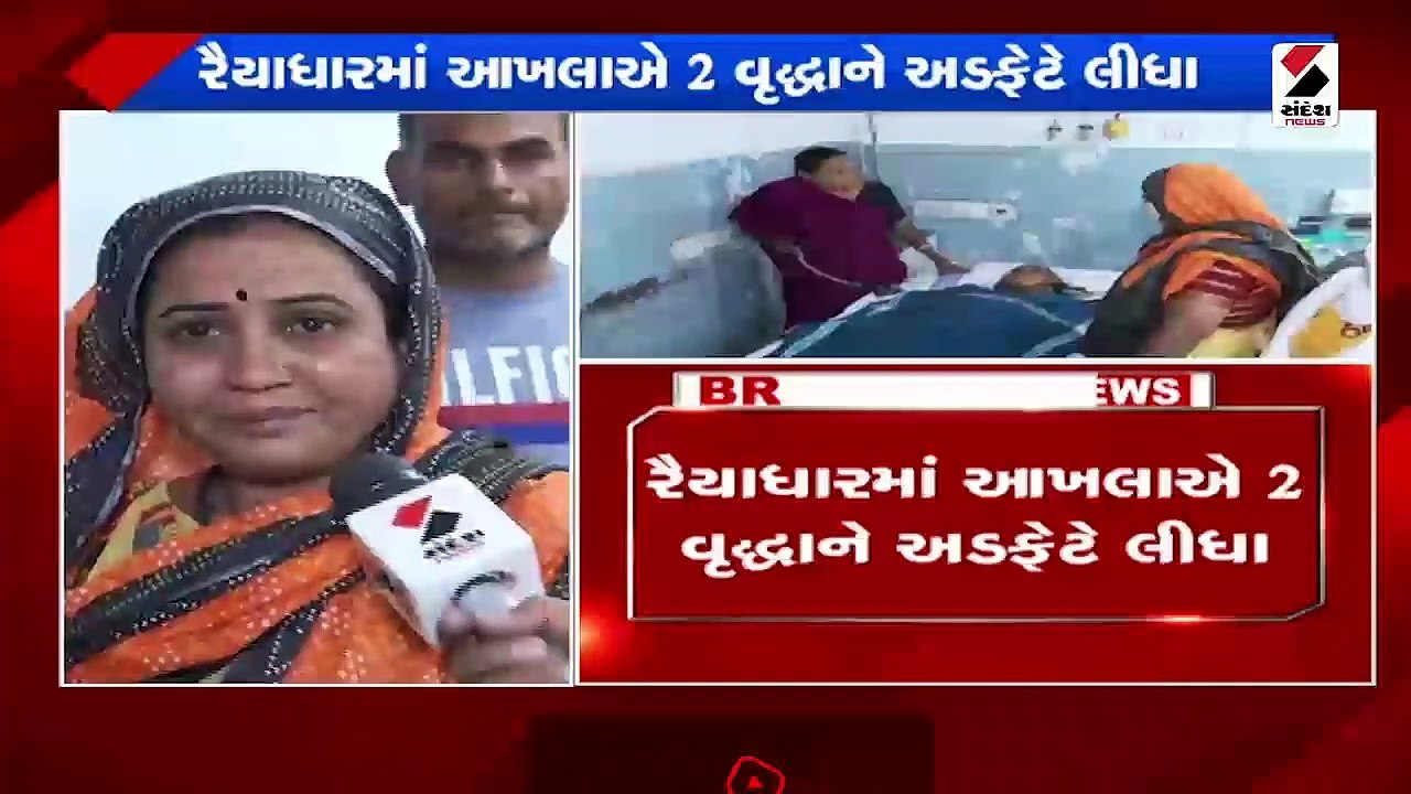 રૈયાધારમાં આખલાએ 2 વૃદ્ધાને અડફેટે લીધા