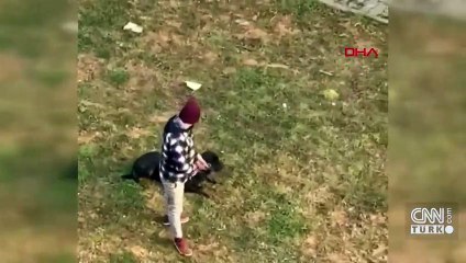 Köpeğe tekme atana 'Bana vur bana' diyerek tepki gösterdi