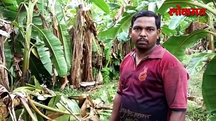 सिंधुदुर्गात पावसाने लाखोंचं नुकसान फोटो