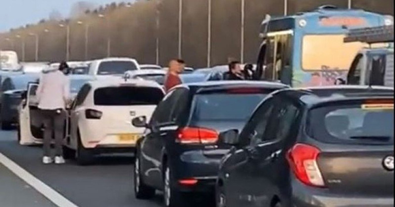 Sur l'autoroute, des conducteurs font la queue devant un camion de glaces bloqué dans les bouchons