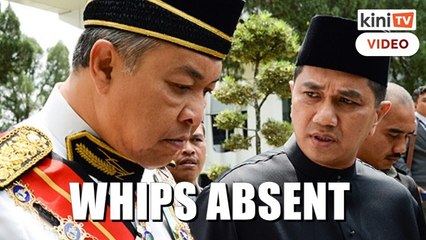Two govt whips missing from Sosma vote