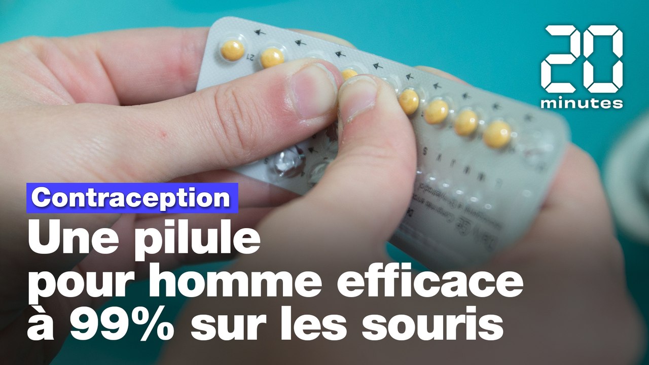 Contraception : Une pilule pour homme efficace à 99% sur les souris