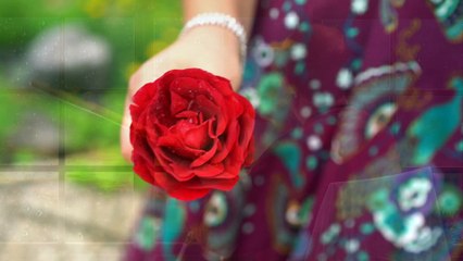 GÖKHAN IŞIKLI ( AL PEMBE GÜLLERDE )