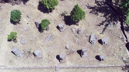 Beklenen rapor mahkemeye ulaştı; Yesemek risk altında, proje durdurulmalı