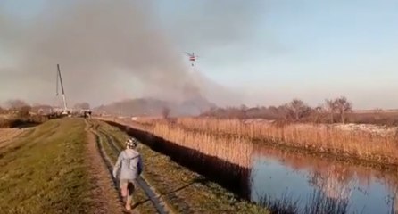 Venezia - Incendio di vegetazione a Campalto (24.03.22)
