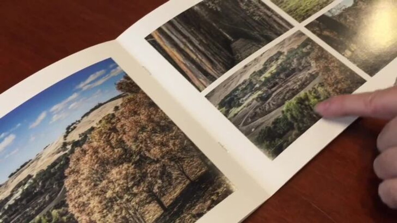 st patricks day fires victoria