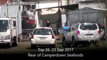Warrnambool Standard: Camperdown fish and chip shop fisheries footage