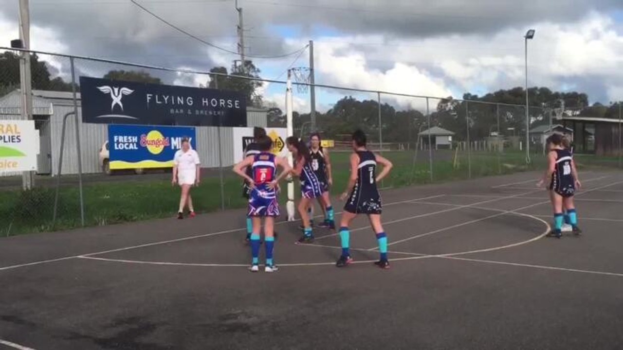 Netball snapshot