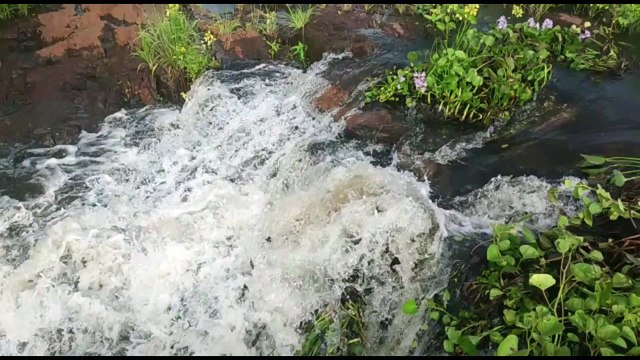 Açudes do Vale do Piancó sangram e Cajazeiras já acumula quase 800 mm de chuvas em 2022