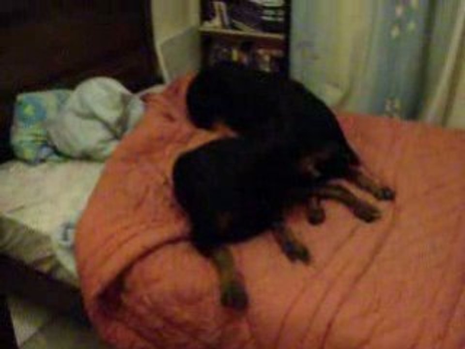 on joue dans le lit de papa