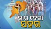 Special Story | Odisha ULB Polls Conclude Today, Results Awaited - OTV Report