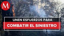 Más de 540 brigadistas participan en labores tras incendio en cerro del Tepozteco