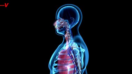 Microplastics Have Now Been Discovered in Human Blood, a World First