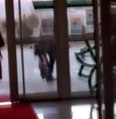 Kayseri'de okul müdüründen vicdanları sızlatan hareket: Okula giren kediyi tekme atarak dışarı fırlattı