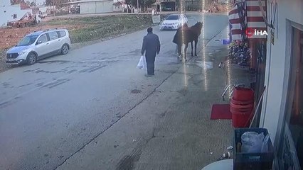Hırsızın çaldığı atla markete daldığı anlar kamerada