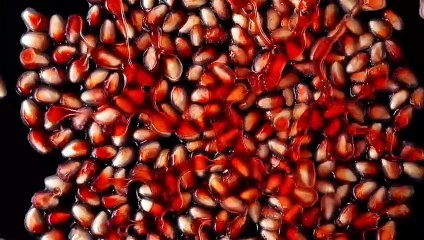 أشهر 10 أكلات في السعودية خلال شهر رمضان   