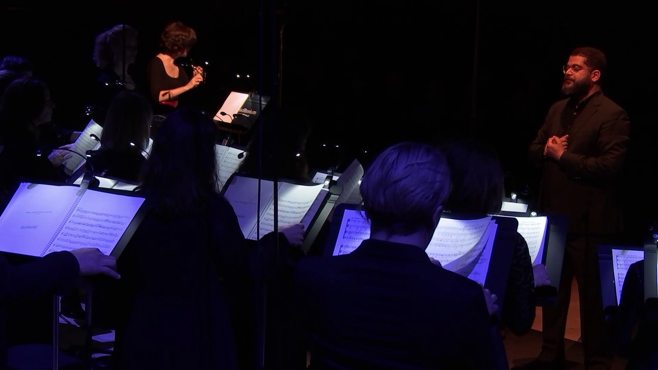 Bach : Sarabande de la Sonate pour flûte seule BWV 1013