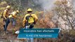 En México suman 33 incendios forestales activos; hay 10 que tienen mayor riesgo