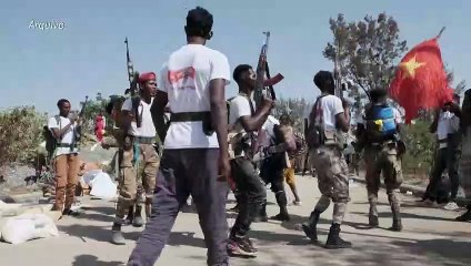 Governo etíope declara 'trégua humanitária indefinida'