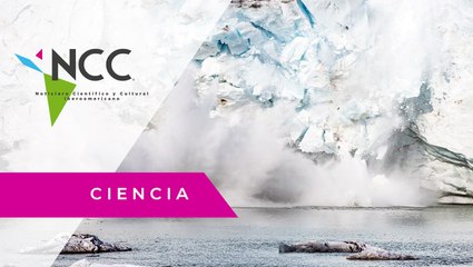 En 20 años Groenlandia ha perdido más de 4 billones de toneladas de hielo