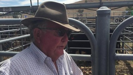 Glenn Lucas sold Angus cows and calves