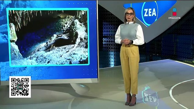 ¿Qué son las aguas subterráneas y cuál es su importancia?