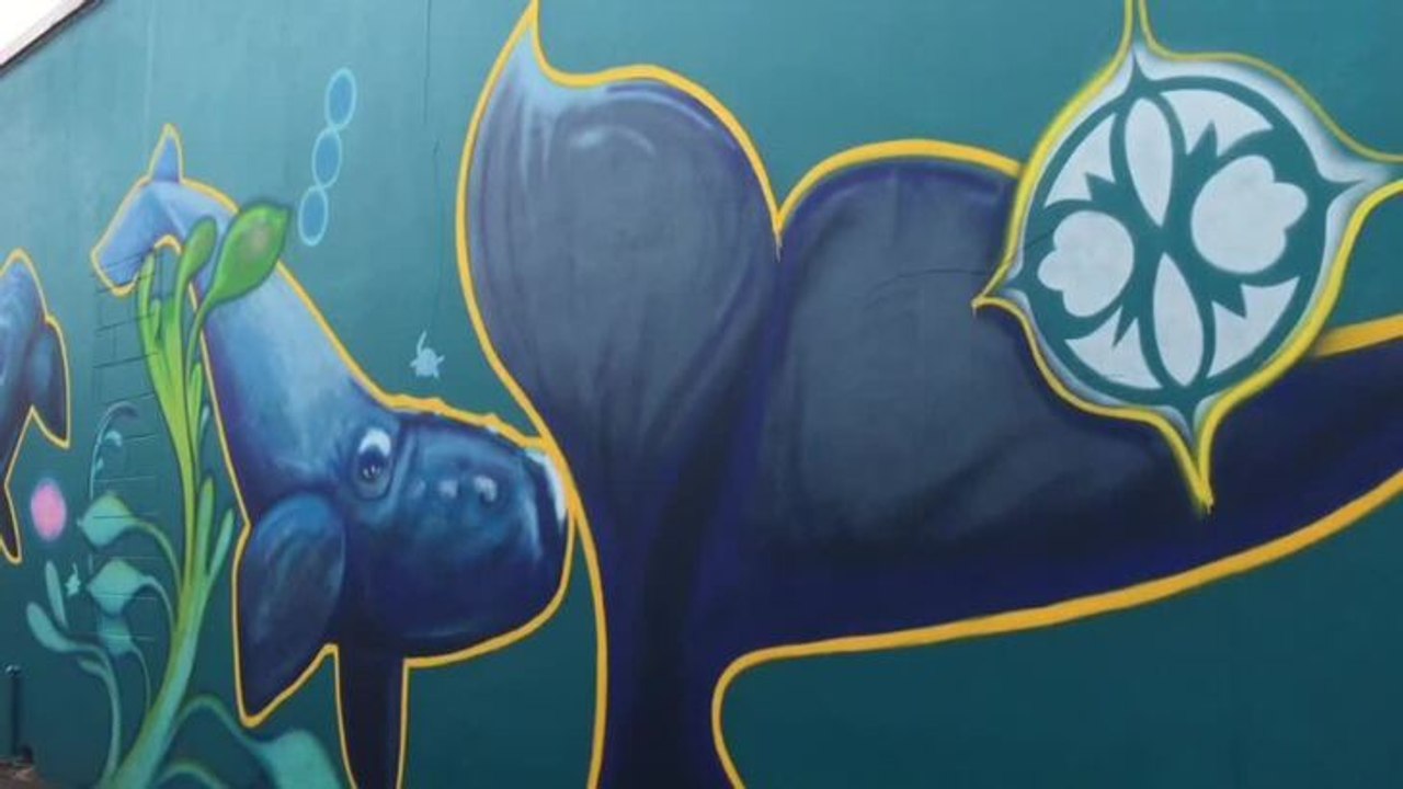 Warrnambool Standard Street art tours