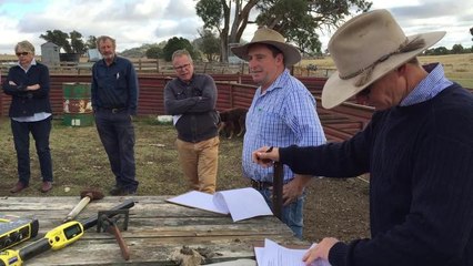 The Land - Bookham Ewe Competition comments Ben Lane